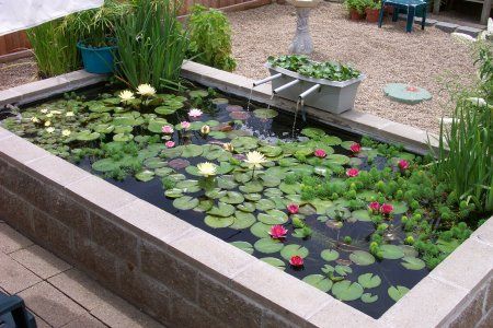 New Pond May 2002 Ponds Backyard Backyard Landscaping Backyard Garden Landscape