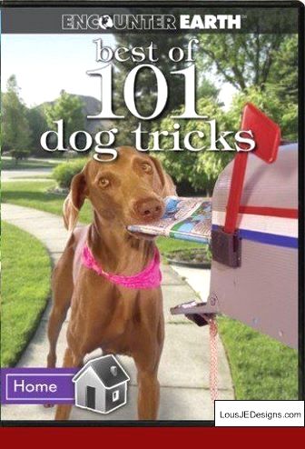 Tips On Training A Squirrel Dog And Pics Of Dog Training Tips For