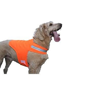 Pin On Dog Collars Harnesses And Leashes