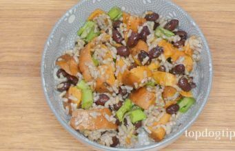 13 Balanced Homemade Dog Food Recipes Balanced Homemade Dog Food