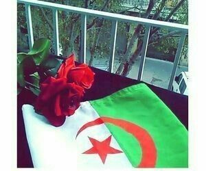 Pin By Hiba On Je Suis Algerienne Et Taqbaylit Arab Culture Pictures Frame Layout