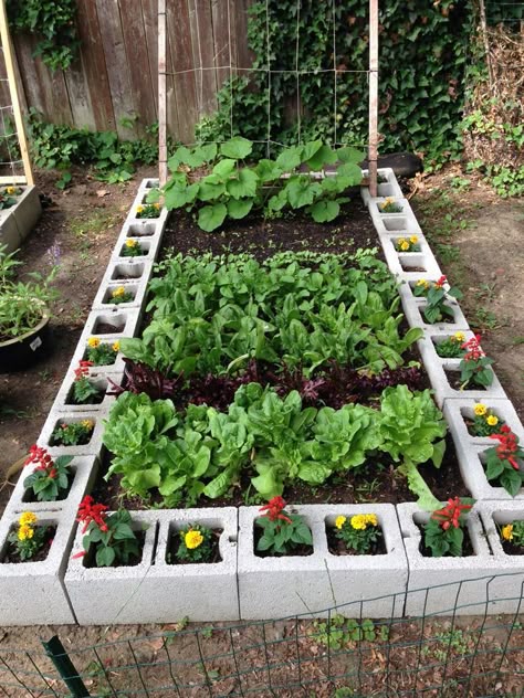 Organic raised bed garden made with cinderblocks #backyardgarden #organicgarden #raisedgardenbed #growyourownfood Organic Raised Garden Beds, Raised Garden Bed Plans, Organic Gardening, Gardening Tips, Gardening Trends, Container Gardening, Flower Gardening, Beginners Gardening, Urban Gardening