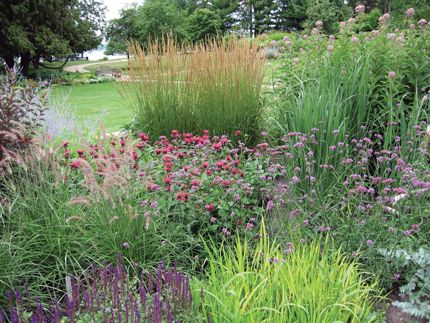 ornamental grasses for cold climates introduction yard and garden university of minnesota extension landscape pinterest minnesota grasses and - Flower Garden Ideas Minnesota ornamental grasses for cold climates introduction yard and garden university of minnesota extension landscape pinterest minnesota grasses and - Flower Garden Ideas Minnesota