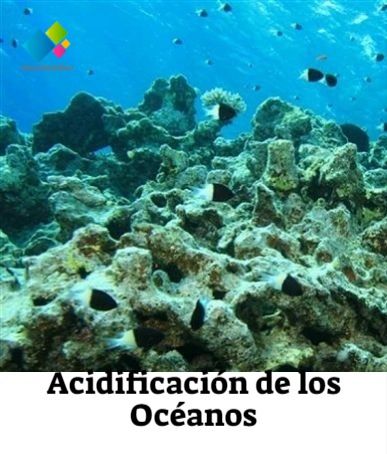 Acidificación De Los Océanos Acidificación Del Océano Fuentes De Energia Renovable Problema Ambiental