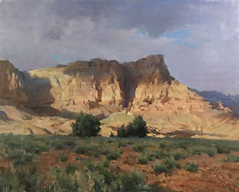 COVASA Mens Summer ShortsSouth American Desert Landscape with Mountains Seen F COVASA Mens Summer ShortsSouth American Desert Landscape with Mountains Seen F