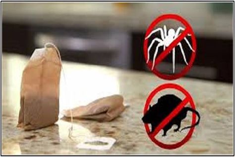 diy fogyás haspakolás b50 komplex fogyás