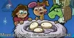 Miren El Tamaño De Esos Huevos V Mascotas Memes Plantillas Para Memes Fotos De Reacción