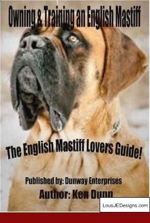 How To Train A Dog To Stop Biting Strangers And Pics Of Training