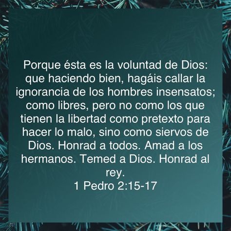 120 Ideas De Versículo Del Día Mb Palabra De Dios Versículos De La Biblia Versículos Bíblicos