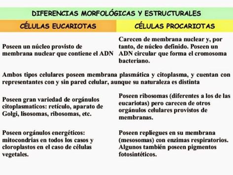 Cuadros Comparativos Diferencias Entre Células Procariotas Y Eucariotas Cuadro Comparativo Células Procariotas Clases De Celulas Celulas