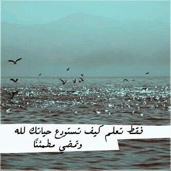 Pin By Rose على الإسلام الفن الإسلامي طبيعة المعالم الطبيعية