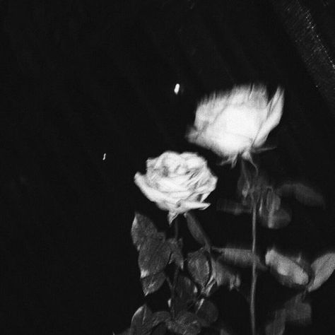 Black and White Aesthetic Pfp