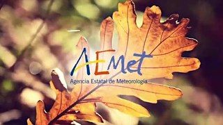 Pin En El Tiempo Noviembre 2019