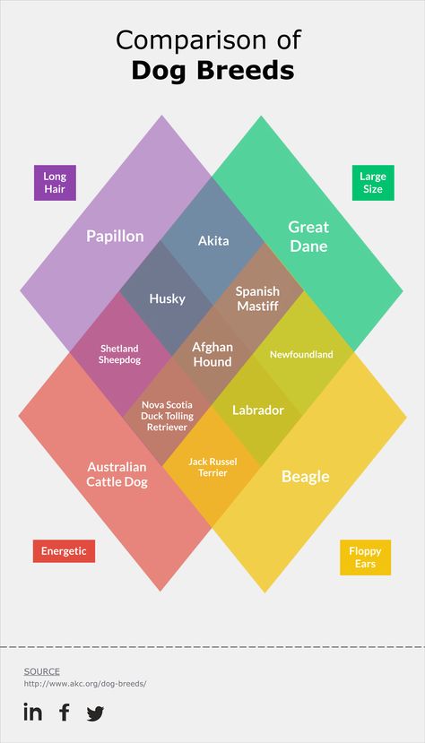 Diamond-Rectangle venn diagram template Graphic design - venn diagram template Diamond-Rectangle venn diagram template Graphic design - venn diagram template