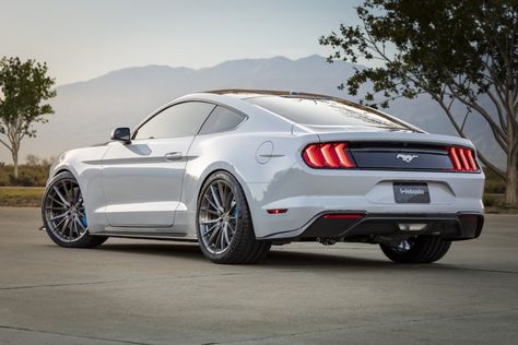 drivingenthusiast