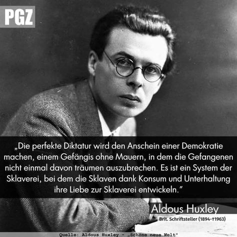 Politiker aus erwachsenen filmstars