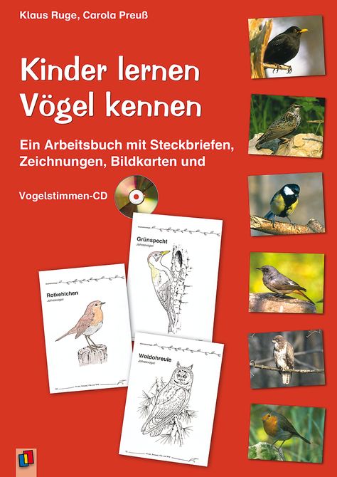 Kennenlernen bildkarten