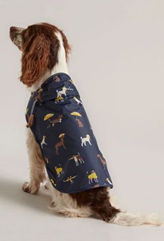 Joules Coastal Percher Square Dog Bed Coastal Dog Print Naylors Com