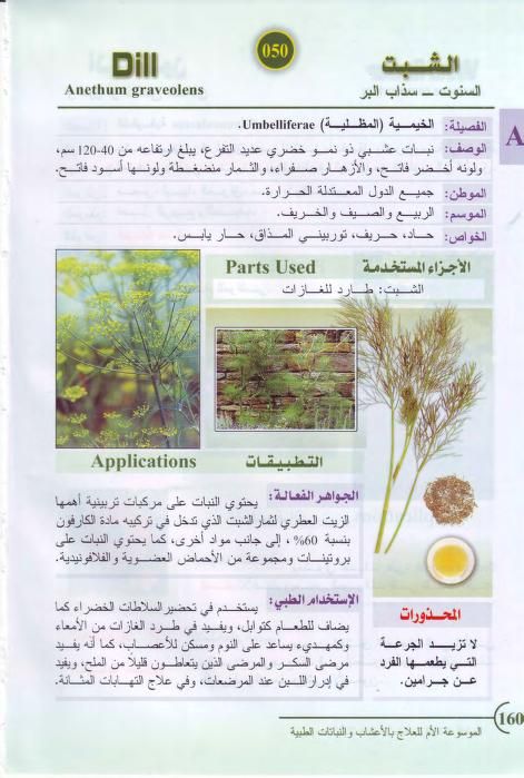 الموسوعة الأم Free Download Borrow And Streaming Internet Archive Internet Archive Streaming The Borrowers