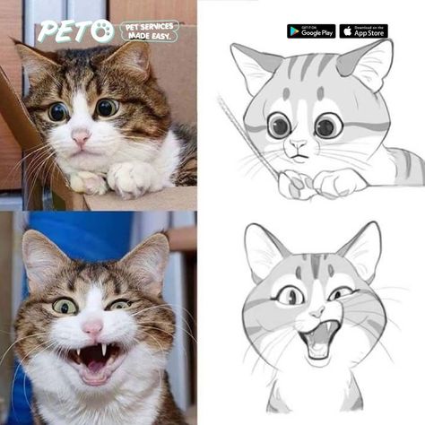 95 Gambar Gambar Kartun Lucu Abis Terlihat Keren 95 Gambar Gambar Kartun Lucu Abis Terlihat Keren