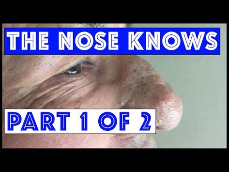 Pin on My Favorites<3 Pin on The Nose Knows