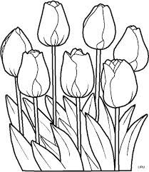 Afbeeldingsresultaat Voor Dibujos De Flores Ausmalen Blumenzeichnung Malvorlagen Blumen