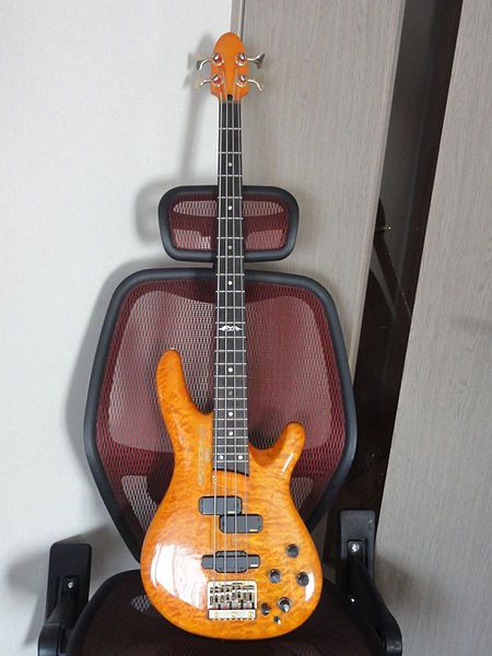 best 25 bass guitars for