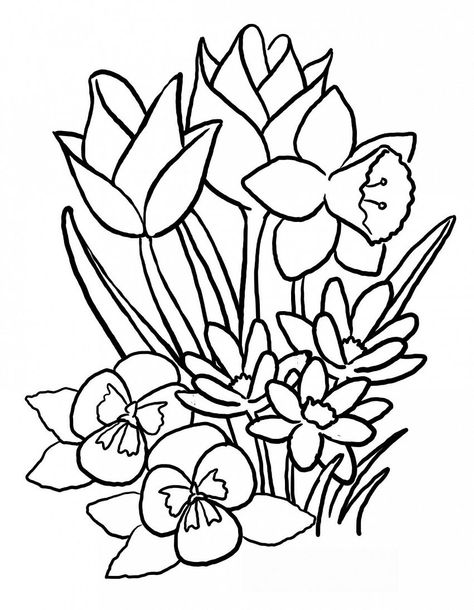 wallpapers Pictures To Color And Print Of Flowers 46 flowers and plants ideas coloring