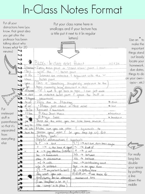 organizemycollegelife u201cIn-Class Notes Format So Iu0027ve told you how - sample chapter summary template organizemycollegelife u201cIn-Class Notes Format So Iu0027ve told you how - sample chapter summary template