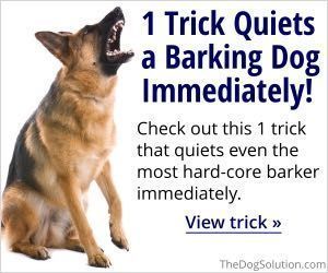 The Dog Solution Train To Stay Quiet Dogs Dog Training