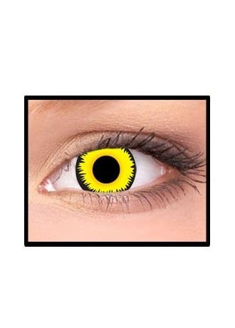 27310 red wolf eye