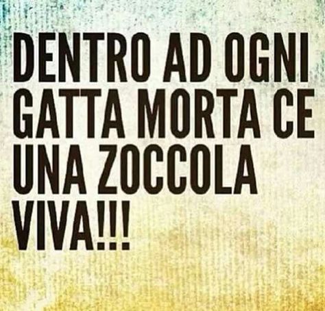 gatta
