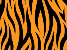 Image Result For How To Draw Tiger Stripes Step By Step Tiger Drawing Animal Drawings Drawings