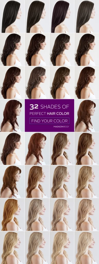 757 best reed promoted pins images on pinterest color kit reed color chart