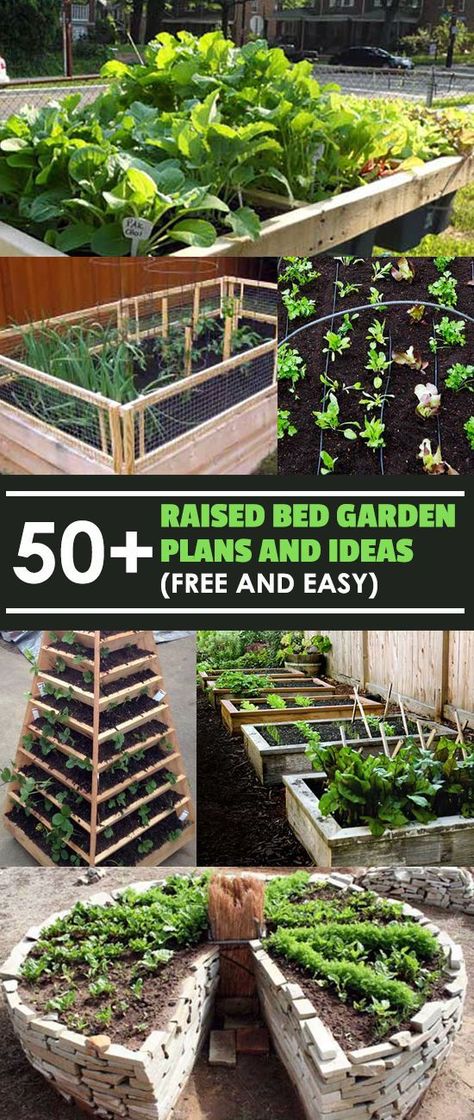50 Free Raised Bed Garden Plans And Ideas That Are Easy To Build Layout Beds Elevated Raised Bed Garden Layout Beds, Do It Yourself Raised Garden Bed Plans