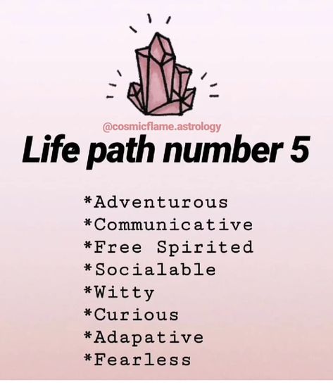 life path 5 life path 5