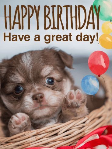 Personalised Spaniel happy birthday card greetings dog doggy name glitter