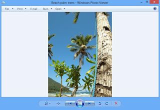 windows photo viewer not printing windows photo viewer not printing