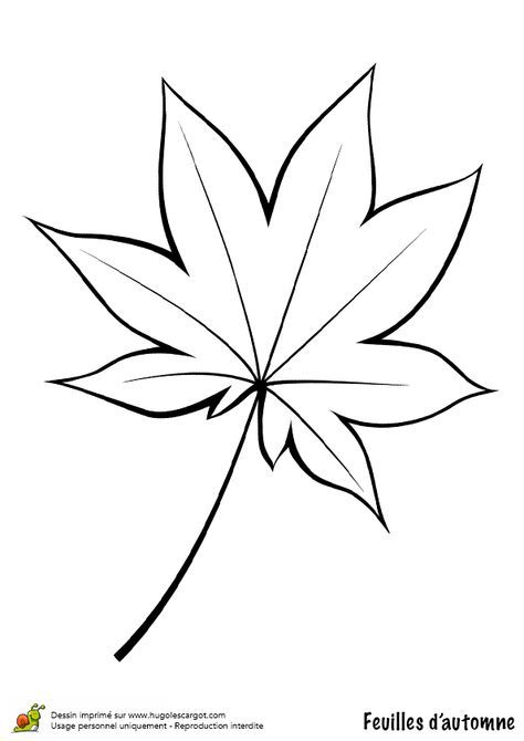 Coloriage / dessin feuilles automne vigne