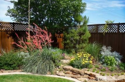 17 Ideas For Texas Hill Country Landscape Native Plants 17 Ideas For Texas Hill Country Landscape Native Plants