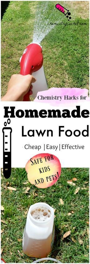 Diy Homemade Lawn Fertilizer Lawn Fertilizer Lawn Care Lawn