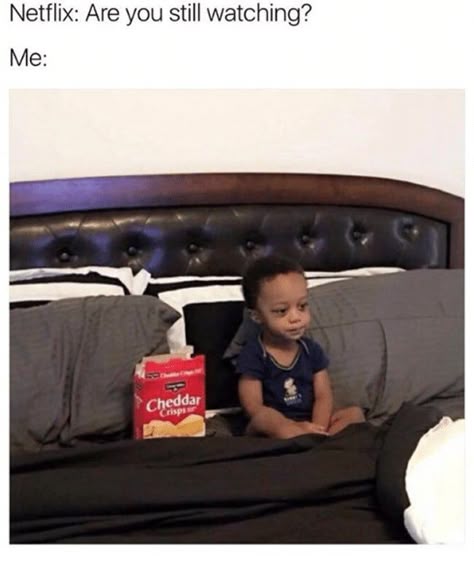 Hilariously Depressing Memes For When Netflix Asks If You're Still ...