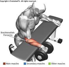 Las Mejores 10 Ideas De Ejercicios Para Antebrazo Ejercicios Ejercicios Para Antebrazo Rutinas De Entrenamiento