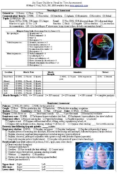 7 best Nursing images on Pinterest Nursing schools, Nursing - nursing assessment template 7 best Nursing images on Pinterest Nursing schools, Nursing - nursing assessment template