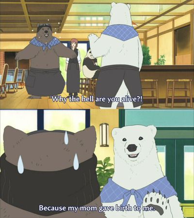 15 Polar Bear S Cafe Ideas Polar Bear Cafe Polar Bear Anime