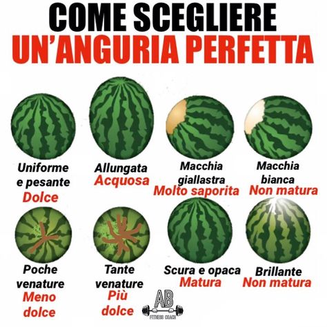 Alex Berna On Instagram: “Non C'è Niente Di Più Rinfrescante Del Dolce E Succoso Sapore Di Un'anguria In Un Giorno D'estate. Tutta… | Watermelon, Workout Food, Food