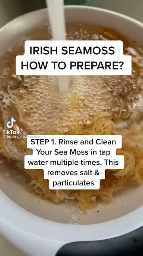 7 Sea Moss Ideas Sea Moss Moss Juicing Recipes 7 Sea Moss Ideas Sea Moss Moss Juicing Recipes