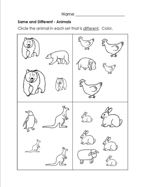 activity worksheets for kids to print kindergarten worksheets