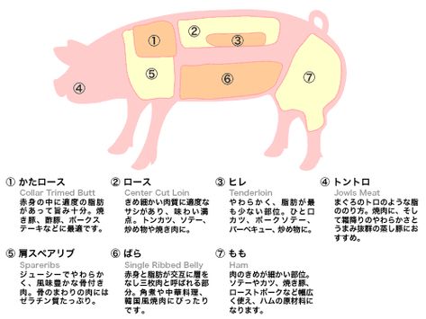 豚 牛肉 鳥 その他肉 のアイデア 19 件 料理 レシピ 肉 肉 部位 豚 牛肉 鳥 その他肉 のアイデア 19 件 料理 レシピ 肉 肉 部位