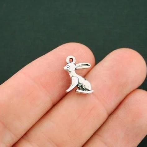 steel charm 20mm very high quality..Perfect for jewery making and other DIY projects vegetarian charm Vegetarian Vegan charm